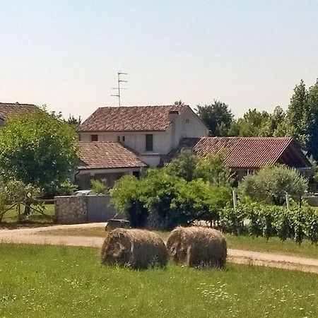 Bed and Breakfast Il Giuggiolo Conegliano Zewnętrze zdjęcie
