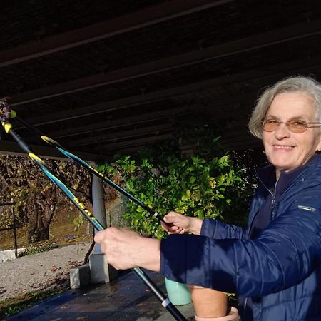 Bed and Breakfast Il Giuggiolo Conegliano Zewnętrze zdjęcie