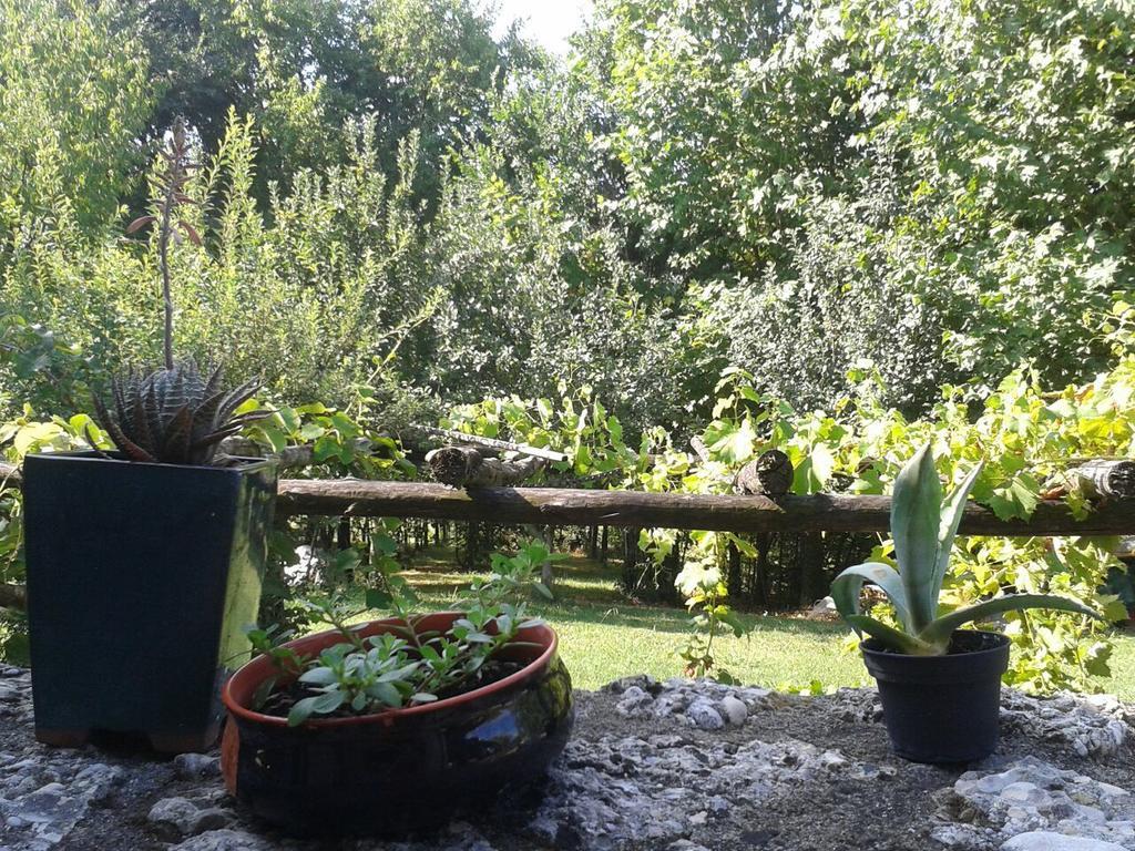 Bed and Breakfast Il Giuggiolo Conegliano Zewnętrze zdjęcie
