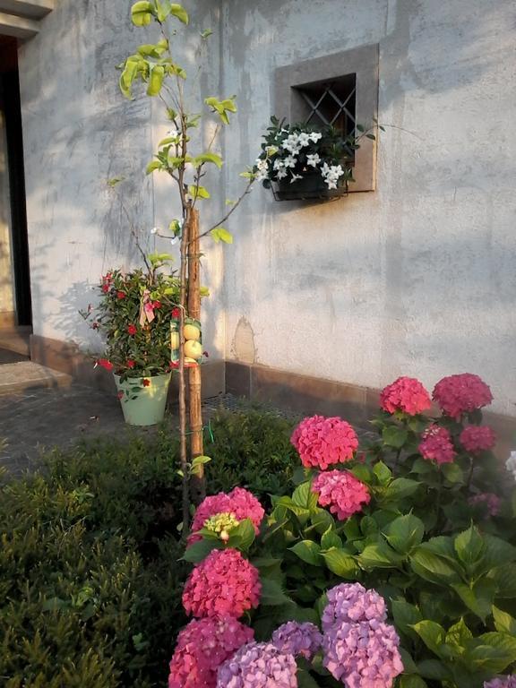 Bed and Breakfast Il Giuggiolo Conegliano Zewnętrze zdjęcie