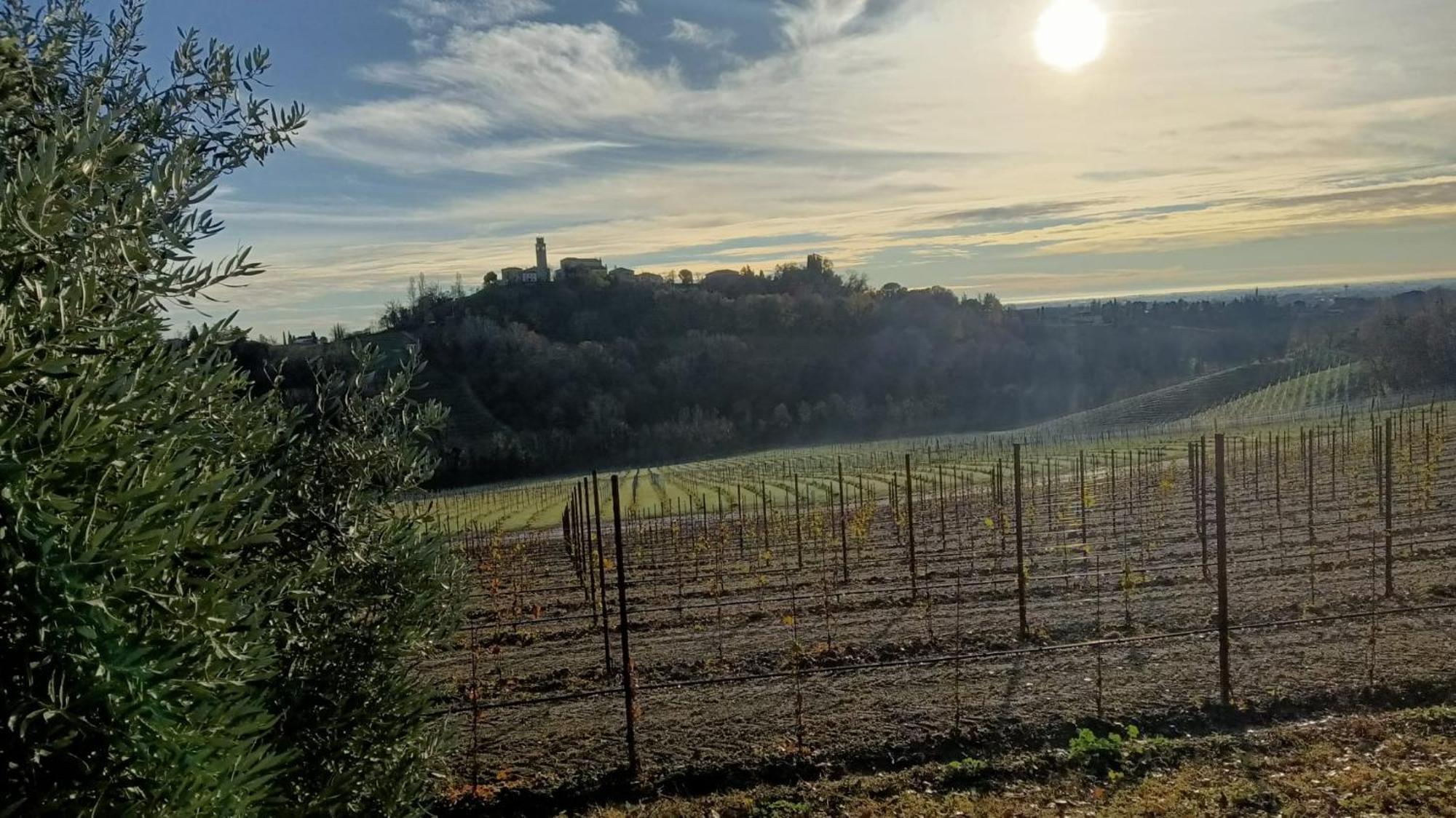 Bed and Breakfast Il Giuggiolo Conegliano Zewnętrze zdjęcie
