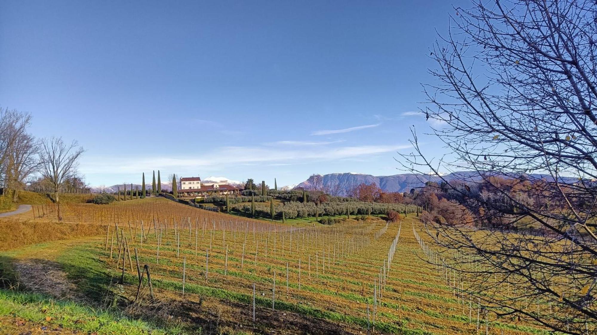 Bed and Breakfast Il Giuggiolo Conegliano Zewnętrze zdjęcie