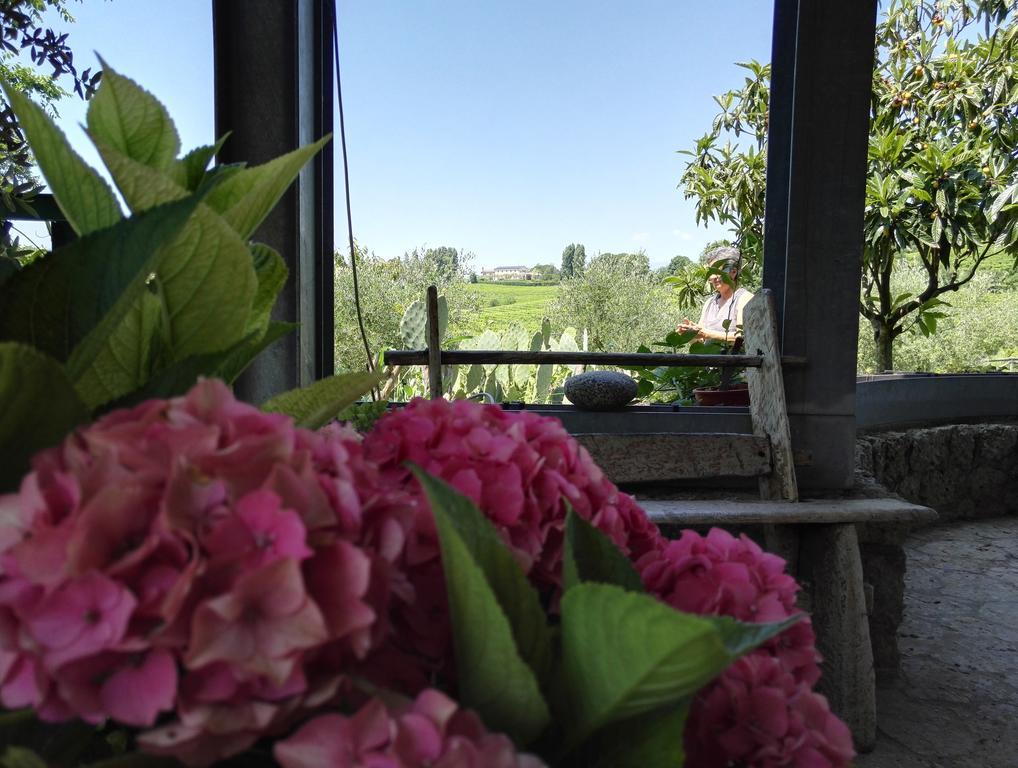 Bed and Breakfast Il Giuggiolo Conegliano Zewnętrze zdjęcie